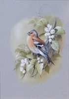 Lot 1339 - Terence James Bond (b.1946) - Chaffinch upon a...