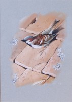 Lot 1341 - Terence James Bond (b.1946) - House-sparrow...