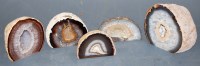Lot 71 - Five various polished agate slices