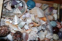 Lot 110 - A collection of assorted seashells and geodes etc