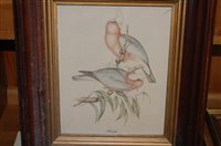 Lot 1099 - Assorted watercolours, J Gould print of exotic...