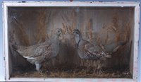 Lot 531 - A brace of early 20th century taxidermy French...