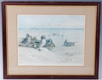 Lot 499 - After Archibald Thorburn, (1860-1935), Pintail...