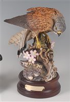Lot 2104 - A Royal Douton kestrel (Falco Tinnunculus),...
