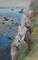 Lot 2546 - Charles Whymper (1853-1941) - Cormorants on a...