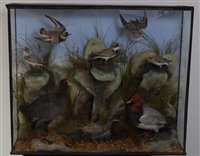 Lot 545 - An early 20th century taxidermy group of eight...