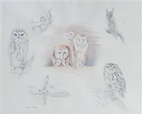 Lot 2553 - David Cemmick (b.1955) - Owl studies, pencil...