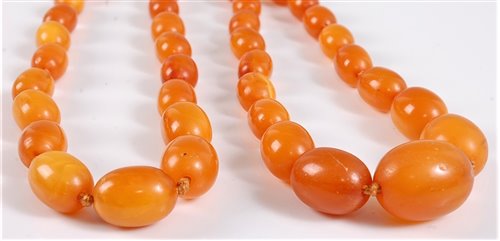Lot 2508 - Two graduated amber necklaces, the oval...