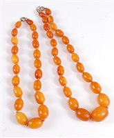 Lot 2508 - Two graduated amber necklaces, the oval...