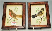 Lot 385 - A pair of circa 1900 watercolour and feather...