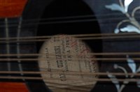 Lot 501 - A cased Italian mandolin, stamped Privativa -...