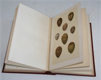 Lot 1007 - Seebohm, Henry. Coloured Figures of the Eggs...