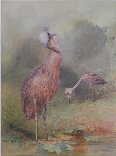 Lot 1428 - *Charles Whymper (1853-1941) - Shoebill Storks,...