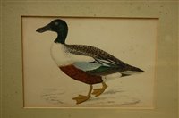 Lot 1032 - Assorted contemporary duck prints, to include...