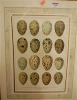 Lot 1090 - A Reichert - a set of four reproduction prints,...