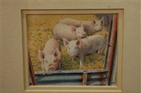Lot 1124 - Mike Webb - Pigs, watercolour, 8 x 9.5cm; and...