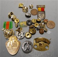 Lot 313 - A small collection of military badges and...