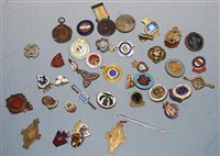 Lot 315 - A collection of miscellaneous enamelled lapel...