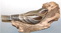 Lot 21 - A carved and painted model of a bird mounted...