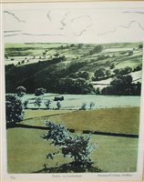 Lot 1059 - Frances St Clair Miller - Fields in Swaledale,...