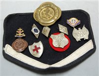 Lot 543 - A small collection of assorted lapel and other...