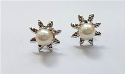 Lot 351 - A pair of white gold cultured pearl ear studs,...