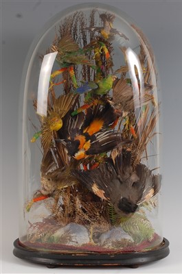 Lot 470 - A Victorian taxidermy group of nine exotic birds