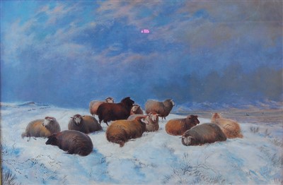 Lot 1497 - Charles Jones (1836-1902) - Sheep in a winter...