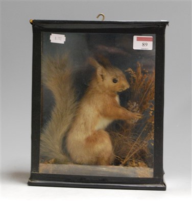 Lot 89 - A Victorian taxidermy red squirrel, mounted in...