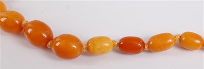 Lot 2531 - A single row amber necklace, consisting of 35...