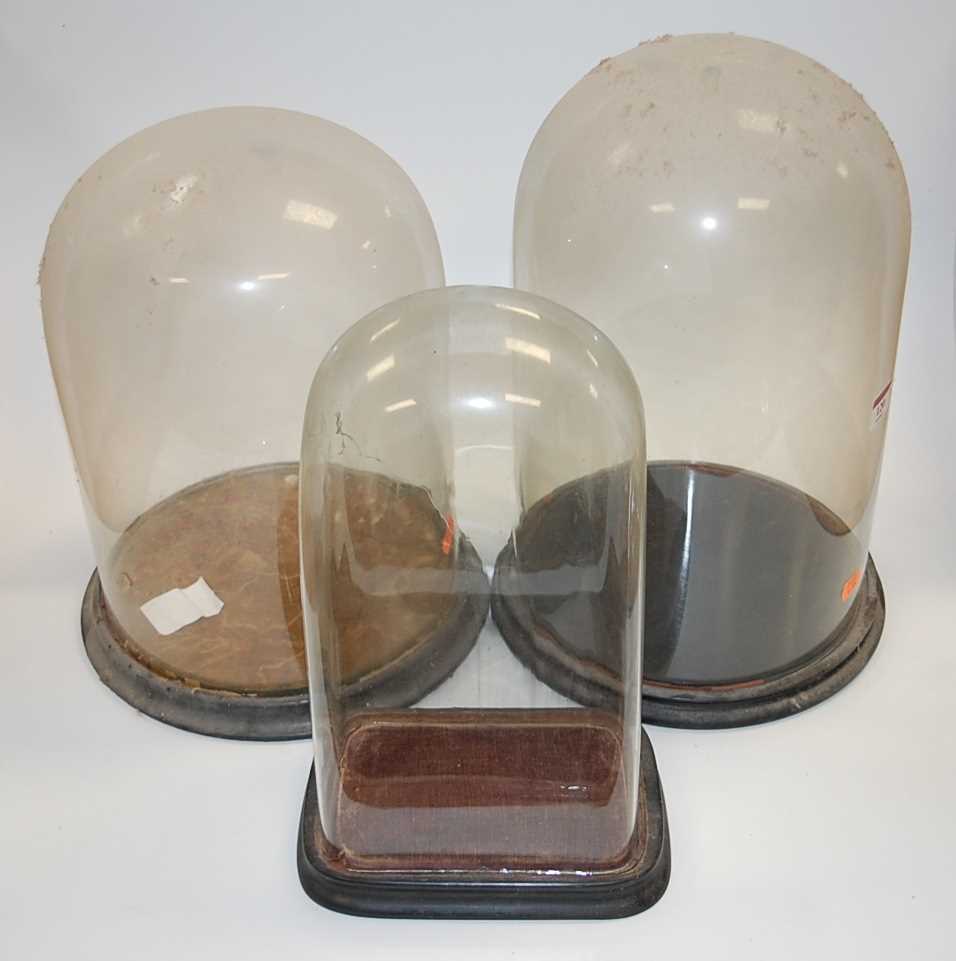 Lot 120 - Three various Victorian glass domes, with...