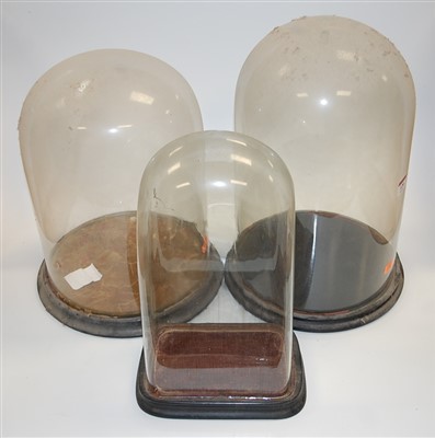 Lot 120 - Three various Victorian glass domes, with...
