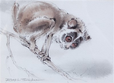 Lot 362 - Ralph Thompson (1913-2009) - Slender Loris,...