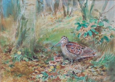 Lot 363 - Roland Green (1896-1972) - Woodcock with...