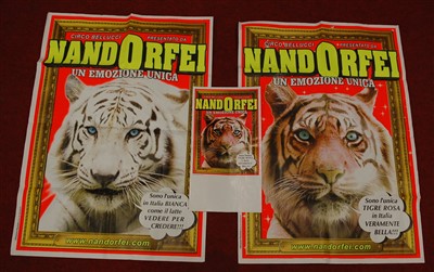 Lot 368 - An early 21st century promotional poster for Circo Bellucci Nandorfei, printed by Europe Printing, 97 x 70cm, together with two others similar, 97 x 70cm and 50 x 27cm (3)