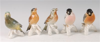 Lot 144 - Karl Ens - two porcelain model Bullfinches,...