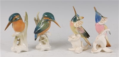 Lot 146 - Karl Ens - two porcelain model Kingfishers,...