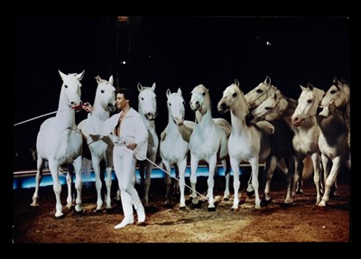Lot 308 - Photographs of horse acts (5)