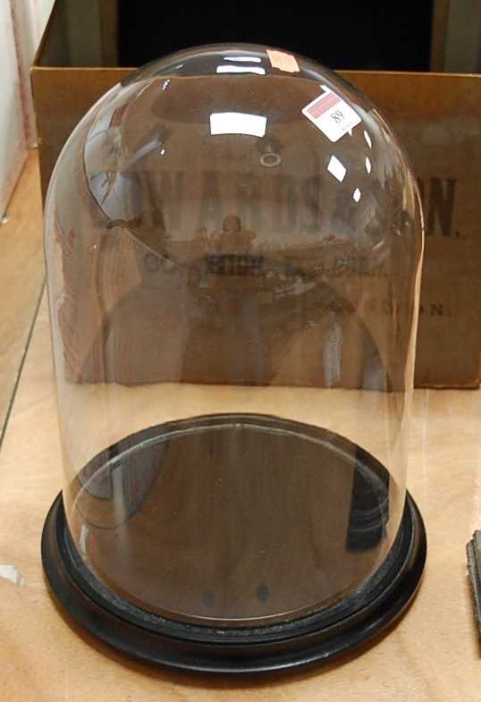 Lot 89 - A glass dome on circular ebonised plinth, h.32cm