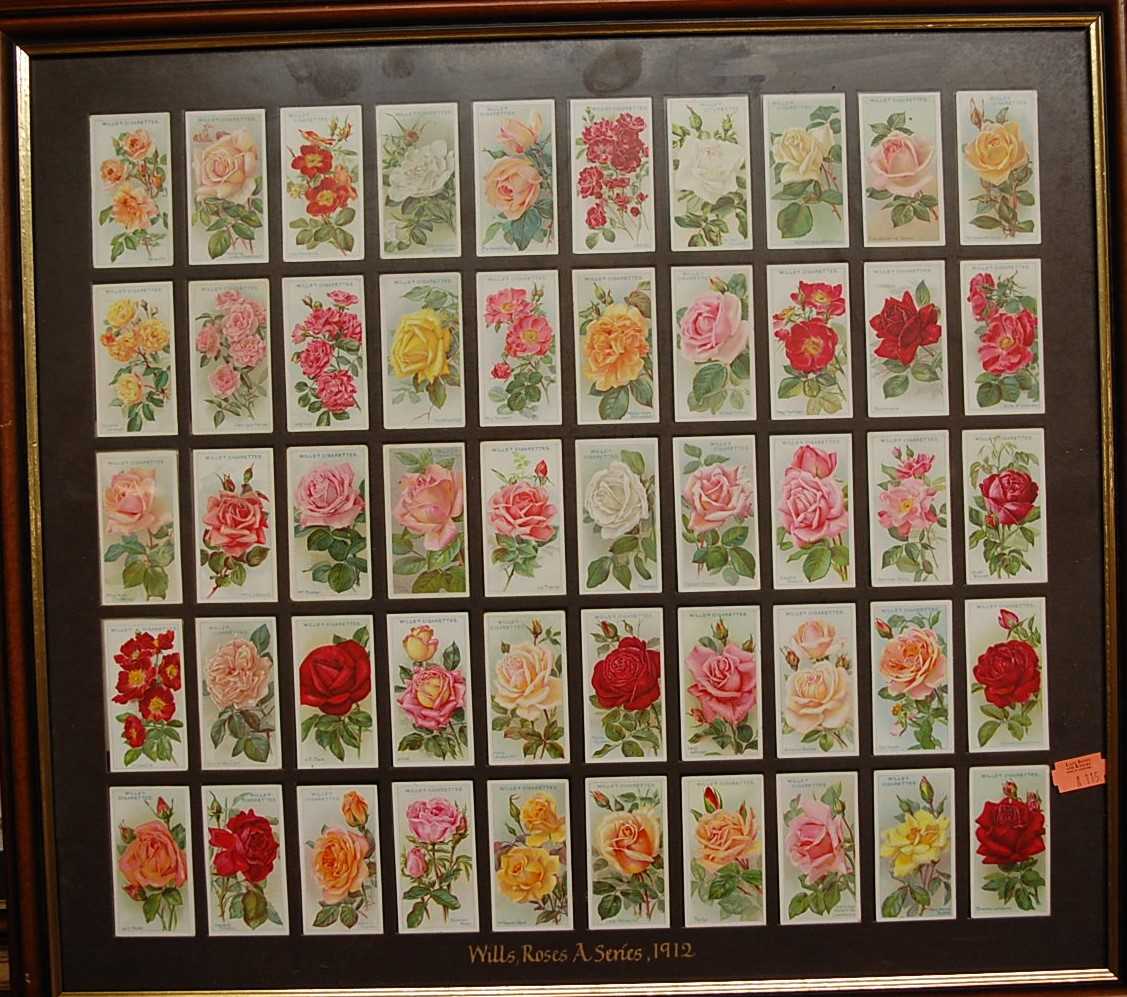 Lot 1025 - Four framed displays of Will's Roses cigarette...