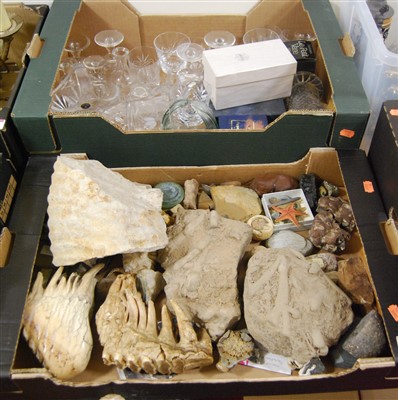 Lot 410 - A box of assorted rock specimens, fossils etc