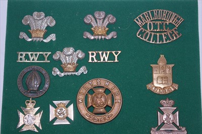 Lot 113 - A collection of British Army cap badges and insignia