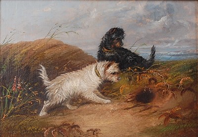 Lot 2438 - J. Langlois (1855-1904) - Terriers rabbiting,...