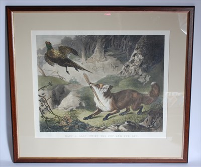 Lot 556 - After James Bateman (19th century)