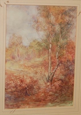 Lot 1010 - Anita Carr - Landscape study with trees,...