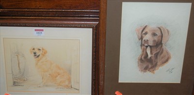 Lot 1025 - Gill Evans - A seated Golden Retriever,...