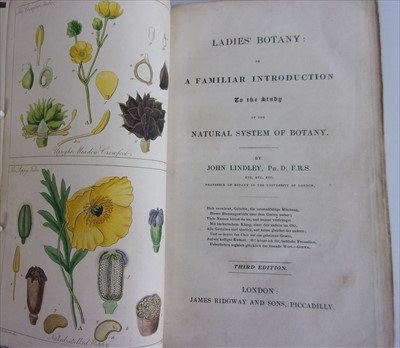 Lot 1016 - LINDLEY, John. Ladies’ Botany. James Ridgway...