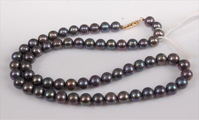 Lot 342 - A cultured grey pearl single string necklace,...