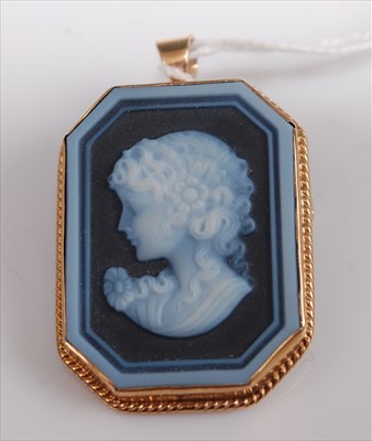 Lot 362 - A carved cameo brooch depicting profile...