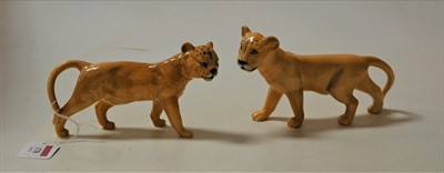 Lot 171 - A pair of Beswick lion cubs, model No.2098,...